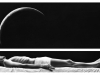 eternal return diptych, charcoal on paper, 40-x-100cm, 2010